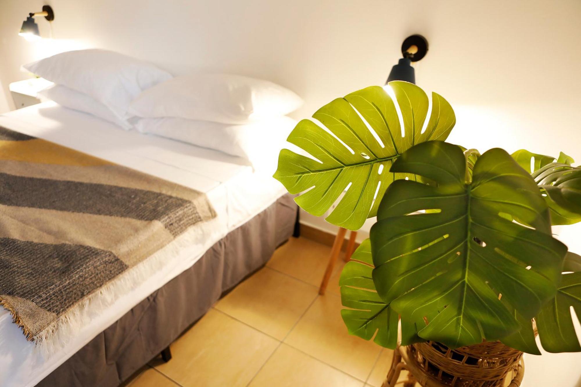 San Martino Bed & Breakfast Roma Dış mekan fotoğraf